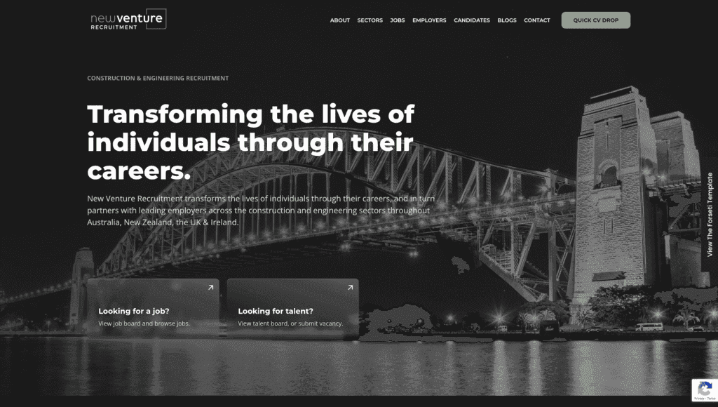 New Venture 2